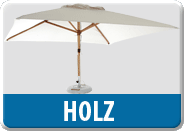 HOLZ