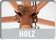 HOLZ